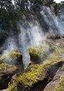 Volcano Vents on the Big Island