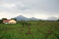 Volcanoes in Kisoro, Uganda