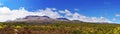 Volcanoes of Mount Tongariro National Park in the New Zealand Royalty Free Stock Photo