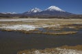 Volcanoes in Lauca National Park