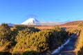 Volcanoes at Tongariro National Park, New Zealand Royalty Free Stock Photo