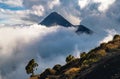 Volcan de Fuego seen from Acatenango.