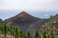 VolcÃÂ¡n MartÃÂ­n volcano in the Ruta de los Volcanes route in La Palma