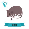 Vole. V letter. Cute children animal alphabet in vector. Funny c Royalty Free Stock Photo