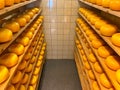 The Cheese Factory is one of the newest attractions in the centre of Volendam