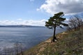 Volga river. Kuibyshev reservoir. Russia.