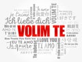 Volim te (I Love You in Croatian) word cloud Royalty Free Stock Photo