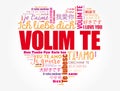 Volim te, I Love You in Croatian, word cloud Royalty Free Stock Photo