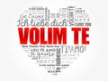 Volim te, I Love You in Croatian, word cloud Royalty Free Stock Photo