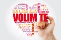 Volim te I Love You in Croatian word cloud Royalty Free Stock Photo