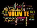 Volim te ( I Love You in Croatian) word cloud Royalty Free Stock Photo