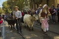 Volksfest in Stuttgart. The march through the city center. Royalty Free Stock Photo