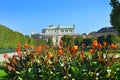 Volksgarten and Burgtheater in Inner Stadt Vienna, Austria Royalty Free Stock Photo