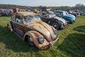 Volkswagen Beetles