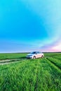 Volkswagen Polo Vento on a rural road in a wheat field in the ev