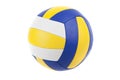 Volley-ball ball