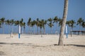 Volley ball between palms tropical beach oman salalah souly bay Royalty Free Stock Photo