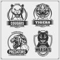 Volleyball badges, labels and design elements. Sport club emblems with cougar, wildcat and tiger. Print design for t-shirt.