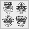 Volleyball badges, labels and design elements. Sport club emblems with scorpion, wasp, hornet and spider.