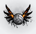 Volleyball Ball Set 6 Royalty Free Stock Photo