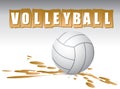 Volleyball banner Royalty Free Stock Photo