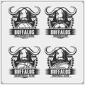 Volleyball, baseball, soccer and football logos and labels. Sport club emblems with buffalo.