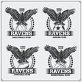 Volleyball, baseball, soccer and football logos and labels. Sport club emblems with raven. Royalty Free Stock Photo