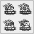 Volleyball, baseball, soccer and football logos and labels. Sport club emblems with tiger. Royalty Free Stock Photo