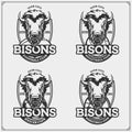 Volleyball, basketball, soccer and football logos and labels. Sport club emblems with bison. Print design for t-shirts.