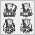 Volleyball, basketball, soccer and football logos and labels. Sport club emblems with cheetahs. Print design for t-shirt.