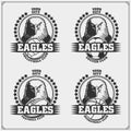 Volleyball, basketball, soccer and football logos and labels. Sport club emblems with eagle. Royalty Free Stock Photo