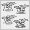 Volleyball, basketball, soccer and football logos and labels. Sport club emblems with falcon. Print design for t-shirts. Royalty Free Stock Photo