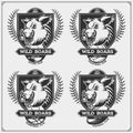 Volleyball, basketball, soccer and football logos and labels. Sport club emblems with wild boar.