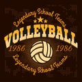 Volleyball championship logo with ball - vector