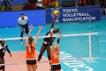 Volleyball Intenationals Qualifications Women Olympic Games Tokyo 2020 - Olanda Vs Kenia