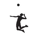 Volleyball player isolated vector silhouette, side view Royalty Free Stock Photo