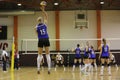 Volleyball player serves the ball