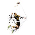 Volleyball player serving ball, low poly Royalty Free Stock Photo