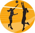 Volleyball Player Spiking Blocking Ball