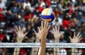 Volleyball spike with hands blocking over the net Royalty Free Stock Photo