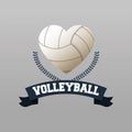 Volleyball sport and hobby design