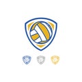 Volleyball team logo design