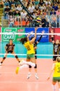 Volleyball World Grand Prix 2014 Royalty Free Stock Photo