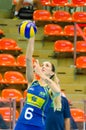 Volleyball World Grand Prix 2014 Royalty Free Stock Photo