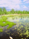 Volo Bog State Natural Area