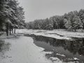 Vologda Forest in Winter Season