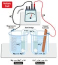 Voltaic Galvanic Cell