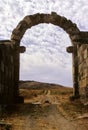 Volubilis Royalty Free Stock Photo