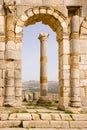 Volubilis Capitol Royalty Free Stock Photo