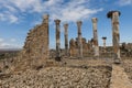 Volubilis in Morocco, columns and Ruins of the Roman City Volubilis